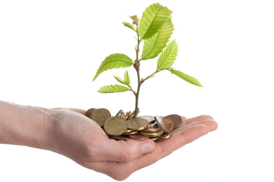 How to start investing